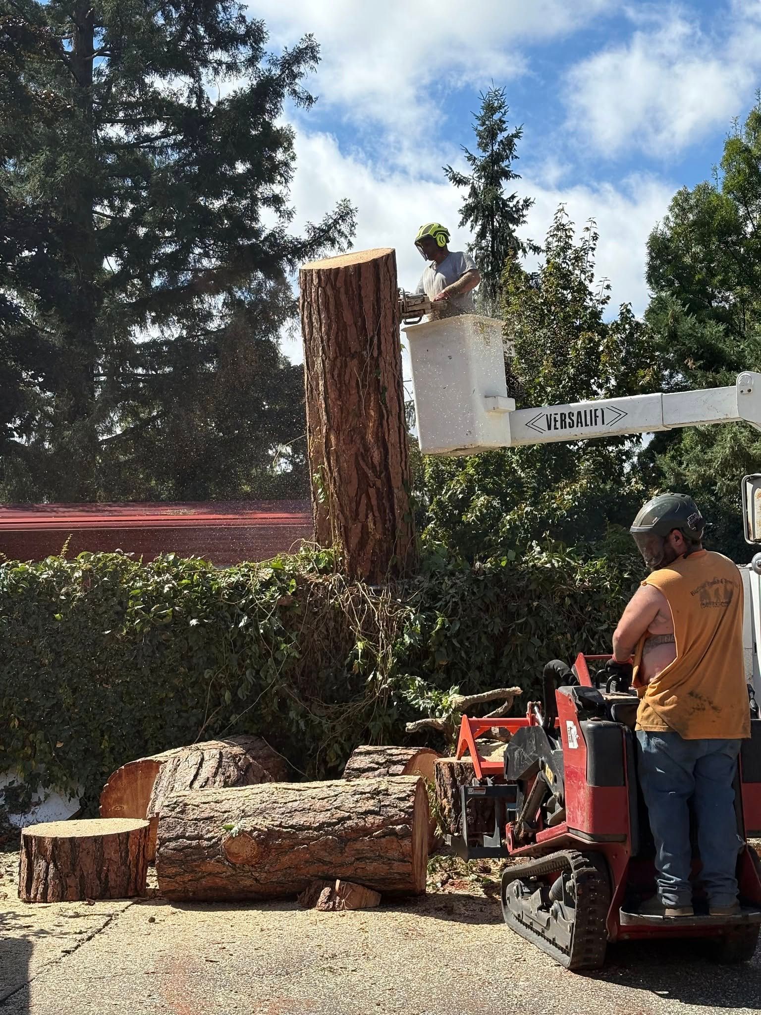 Two men cutting a tree with a lift, logs on the ground. Sunny day, blue sky.