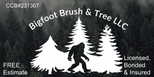 Logo for Bigfoot Brush & Tree LLC: a bigfoot silhouette between white pine trees, text includes "Licensed, Bonded & Insured".