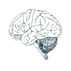 - Coastal Ketamine & Aesthetics charleston, south carolina