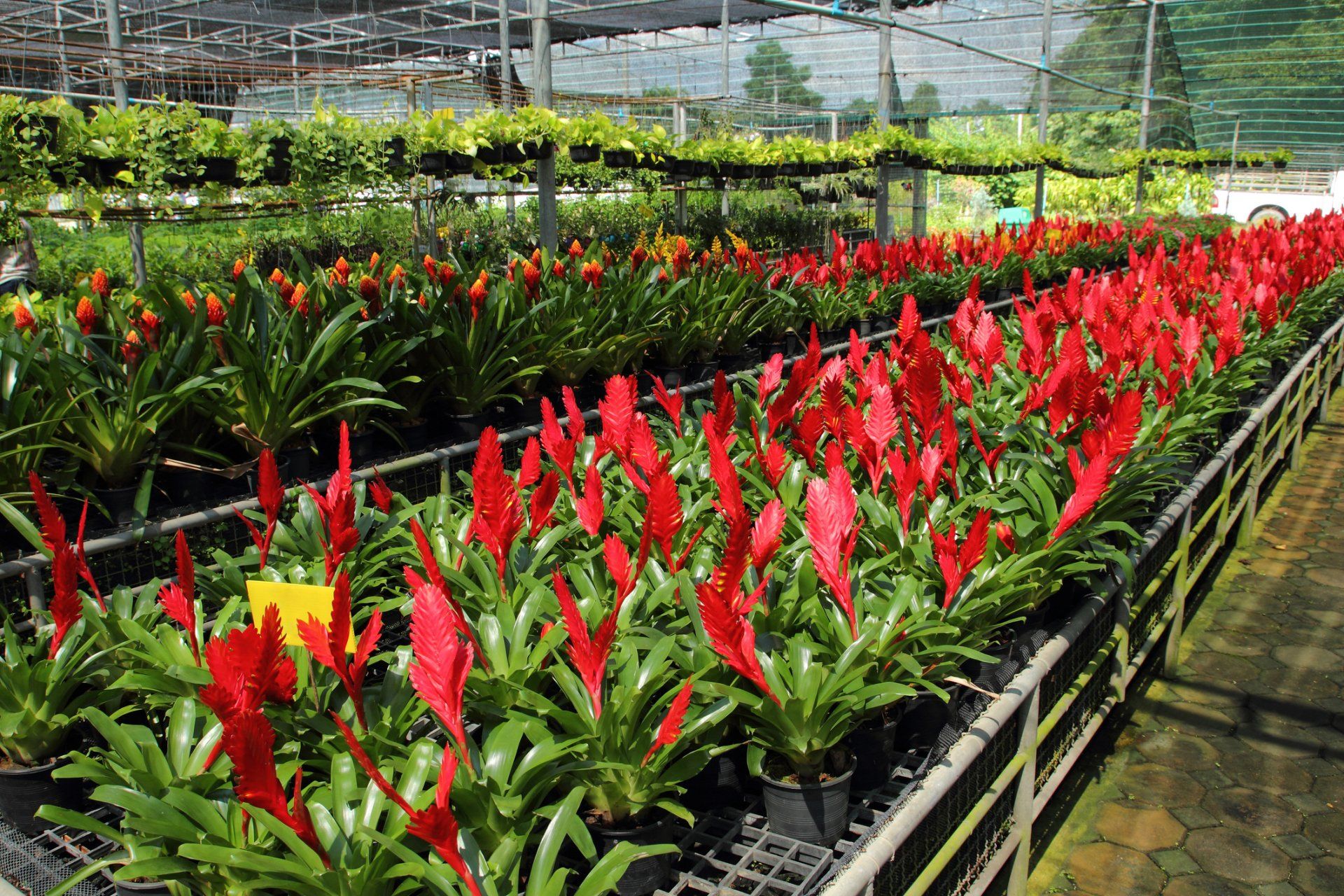 Diseño de Jardines y Riegos JM -decoración de espacios exteriores