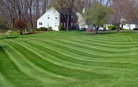 Backyard Grass Trimming - Turf Management in Portland, ME