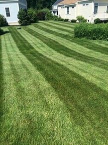 Grass Trimming - Turf Management in Portland, ME