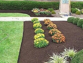 Mulch Bed with Fall Mums-LST Landscaping Inc.-Portland, ME