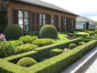 Formal Shrub Pruning-LST Landscaping Inc.-Portland, ME