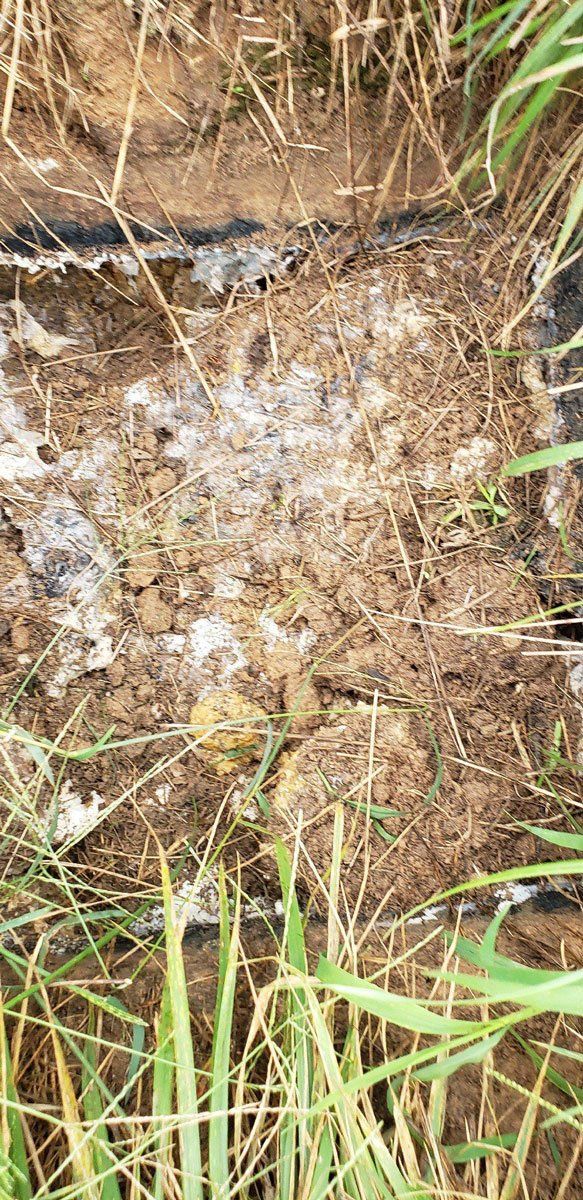 Soil — Appomattox, VA — Taylor’s Septic Service Inc