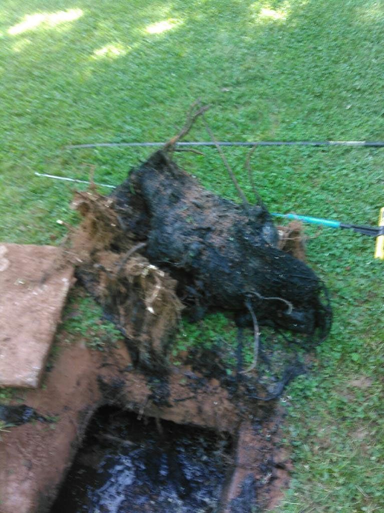 Debris from the Septic Tank — Appomattox, VA — Taylor’s Septic Service Inc