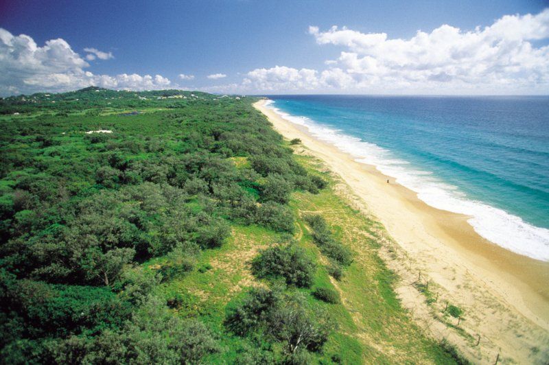 An Aerial View of a Beach Surrounded by Trees and Grass — MDK Mini Excavator - Dingo & Tipper Hire in Noosa Heads, QLD