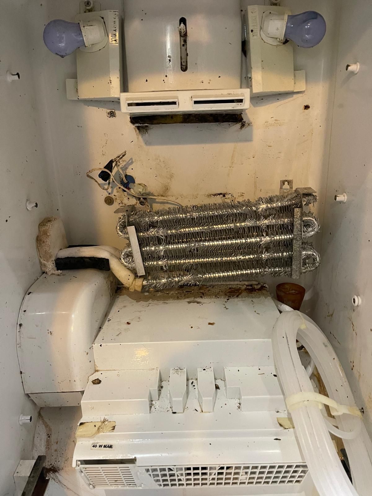 Inside of a dirty freezer; evaporator coils, ice maker components, and lights are visible.