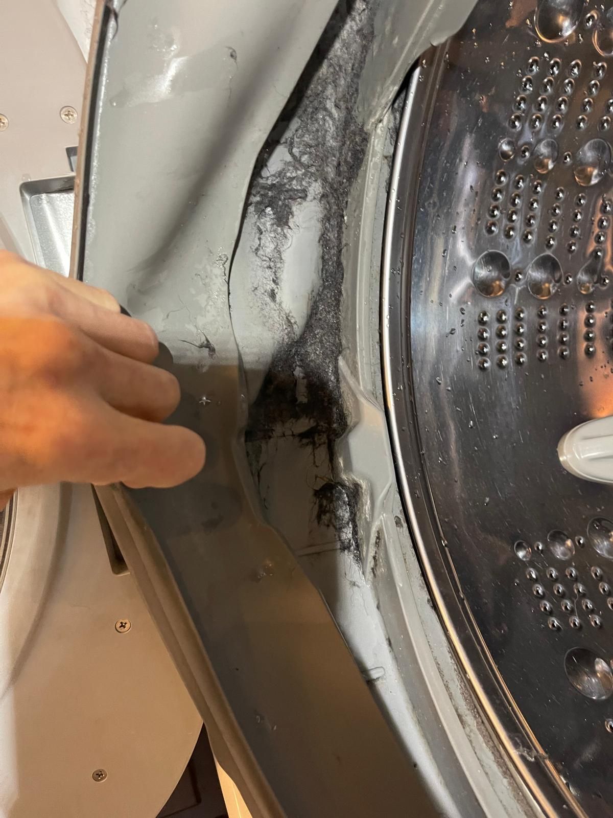Close-up of a washing machine door seal with mold and debris. A hand points to the dark buildup.
