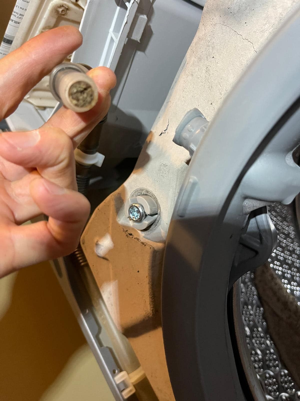 Person holding a brown, dirty object near a washing machine door.