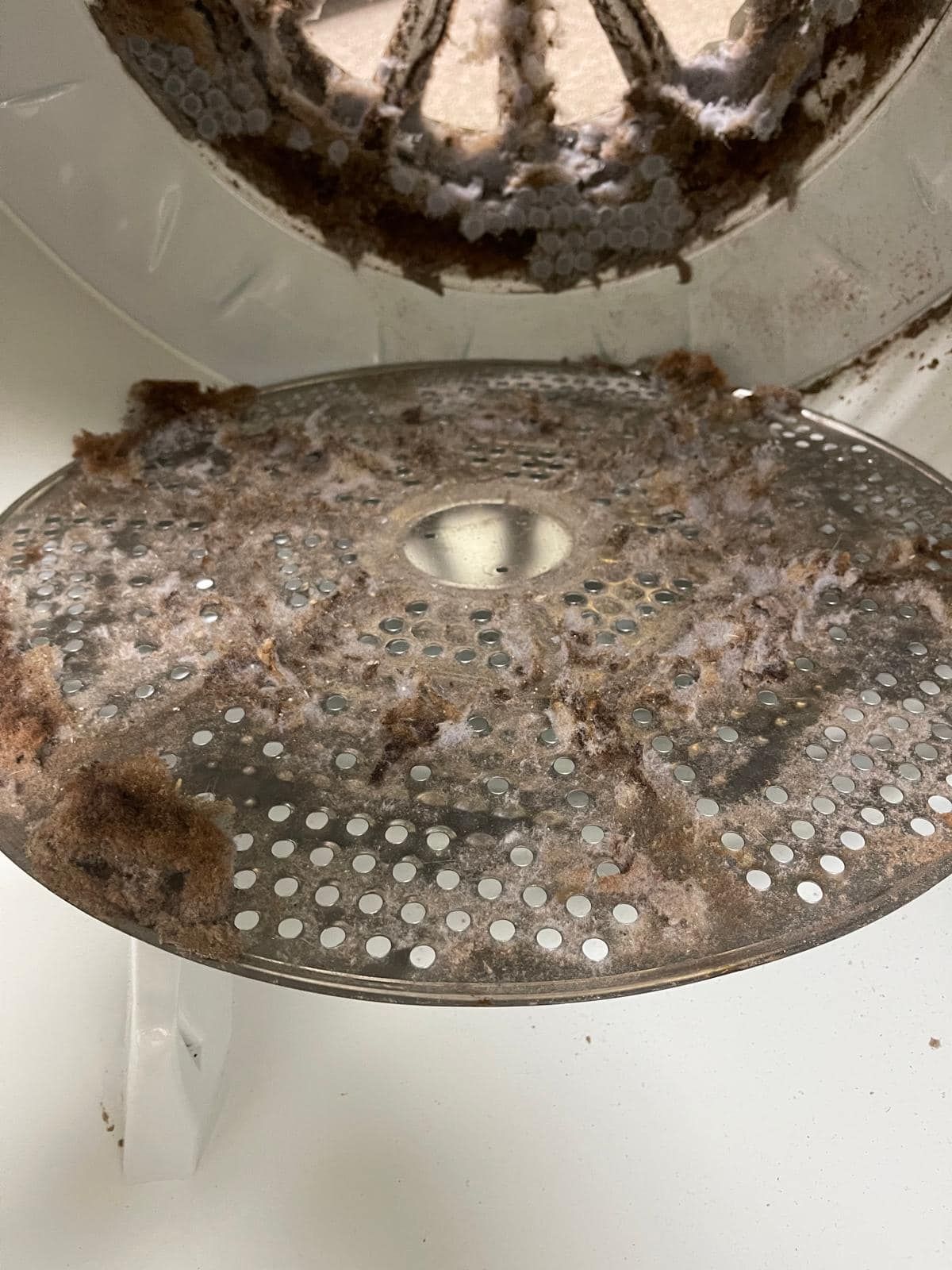 Inside of a dryer: a lint trap and metal filter covered in thick, brown and white lint buildup.