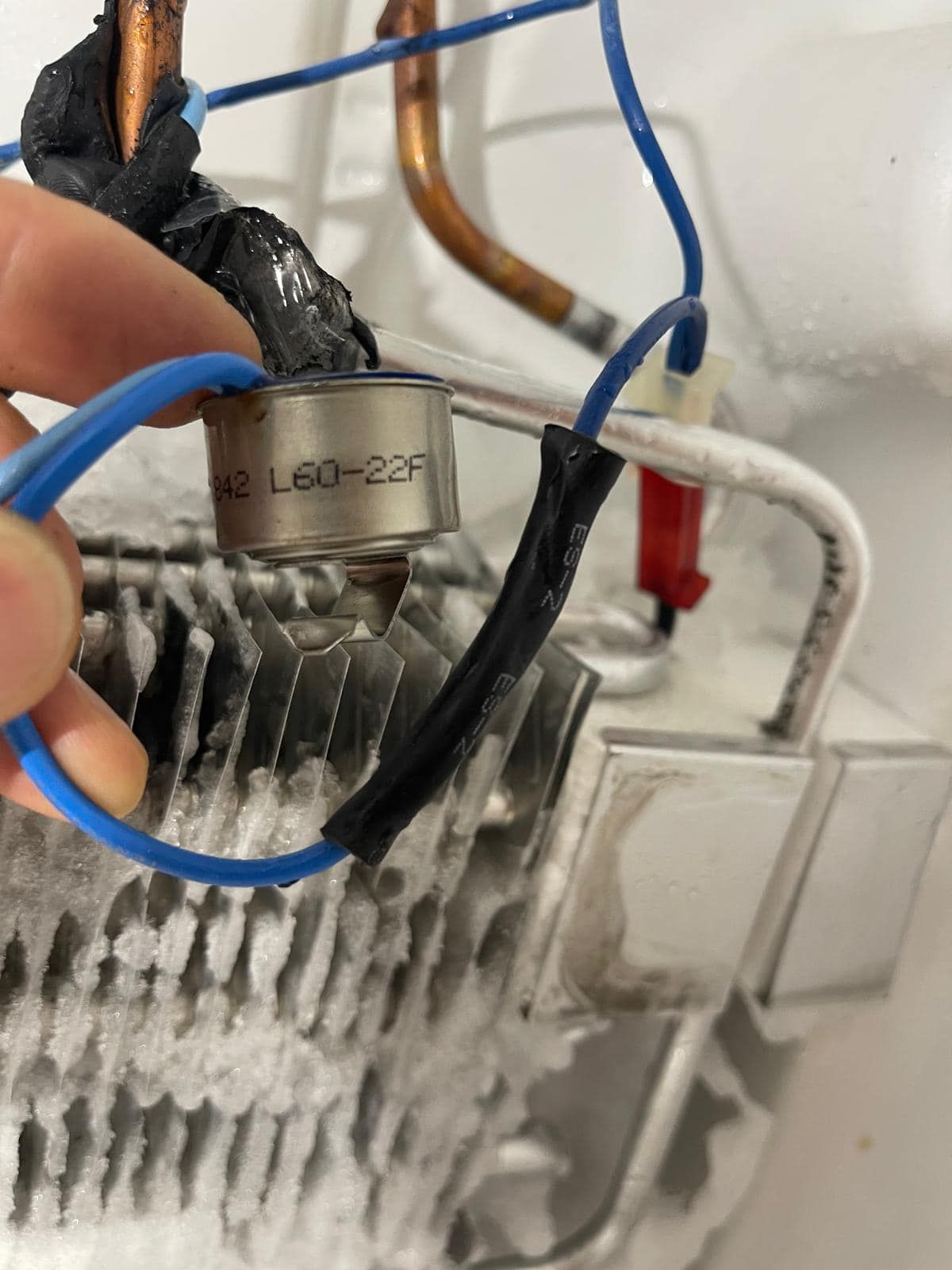 Person holding blue-wired defrost thermostat in a frozen refrigerator compartment.