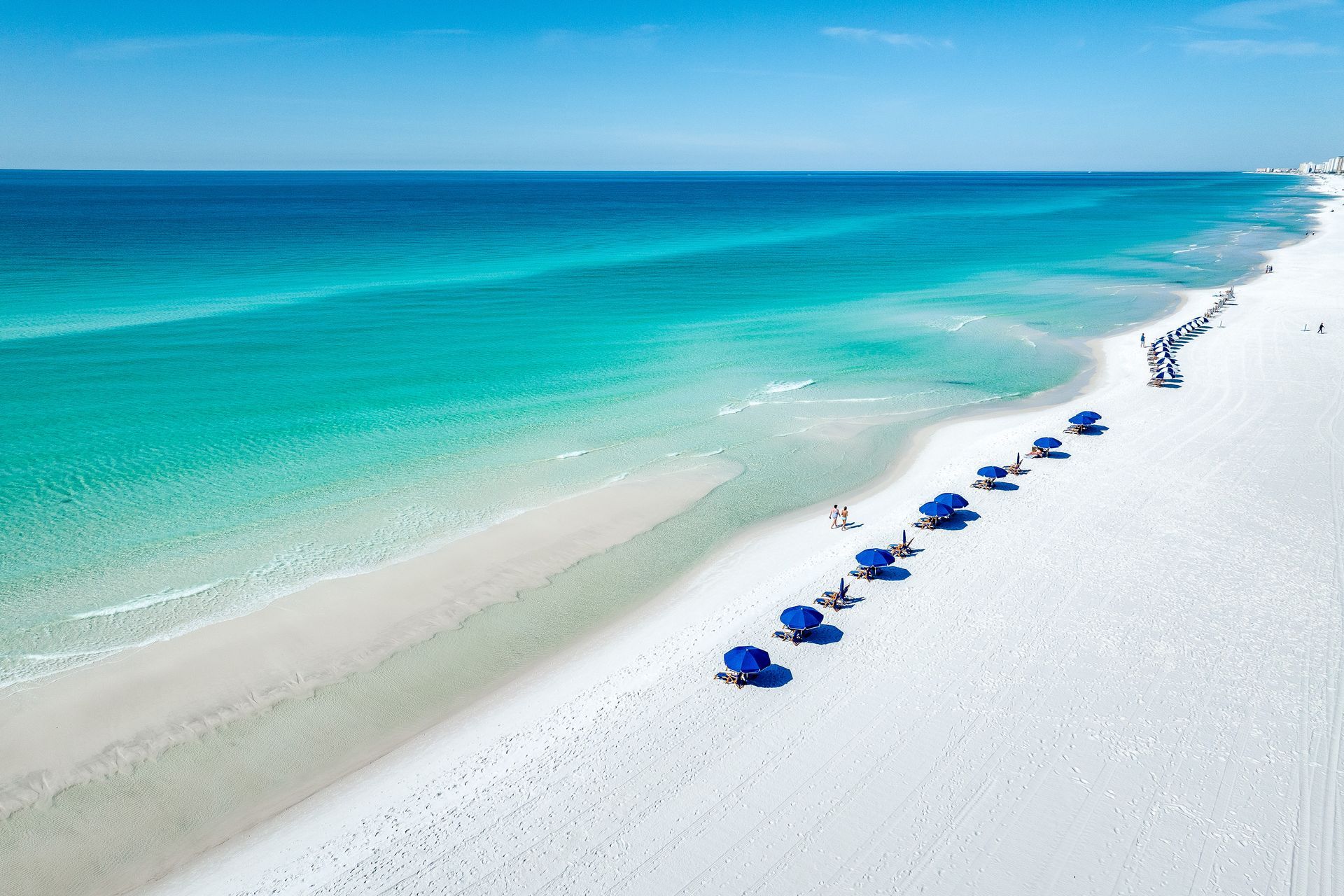 Top producing real estate team