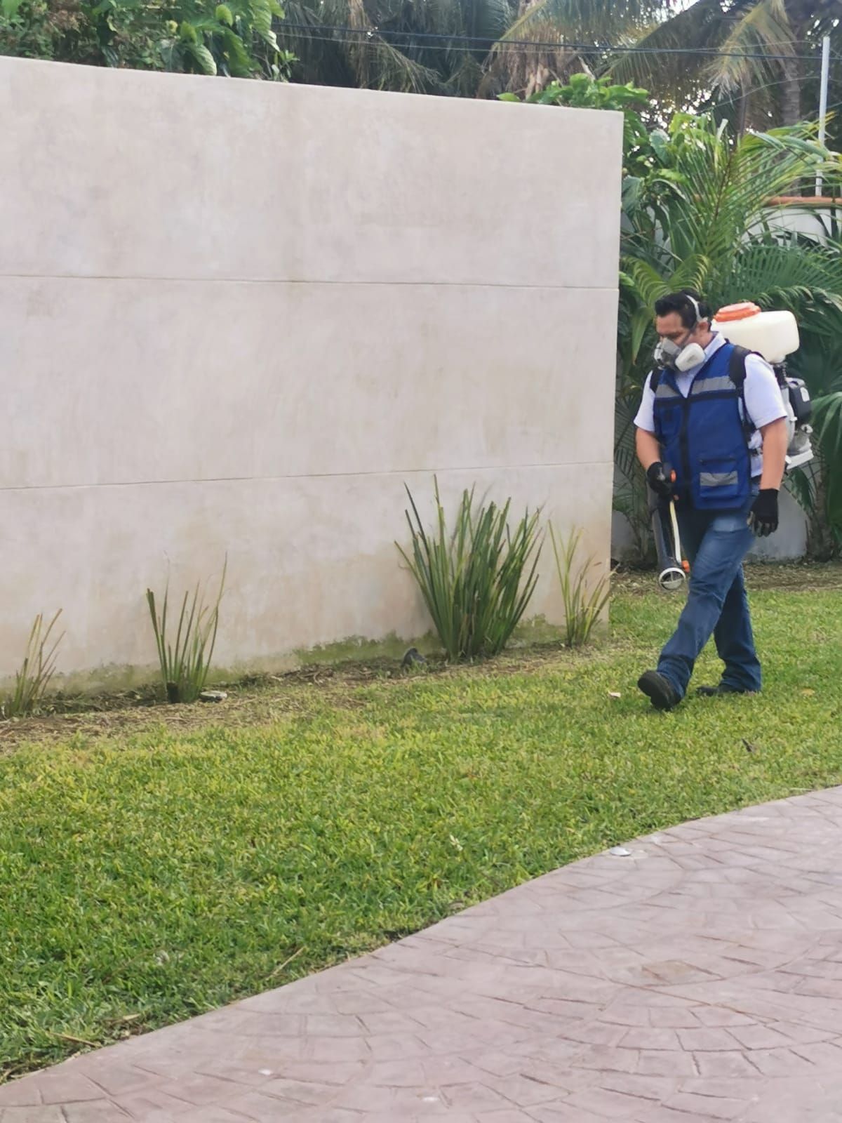 ECOFUM CONTROL ECOLOGICO DE PLAGAS - PRODUCTOS ECOLOGICOS