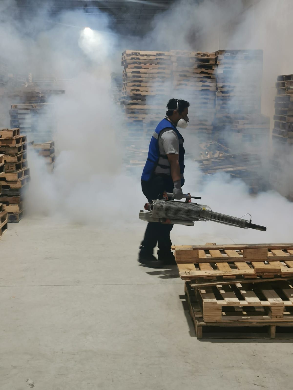 ECOFUM CONTROL ECOLOGICO DE PLAGAS - FUMIGACIONES