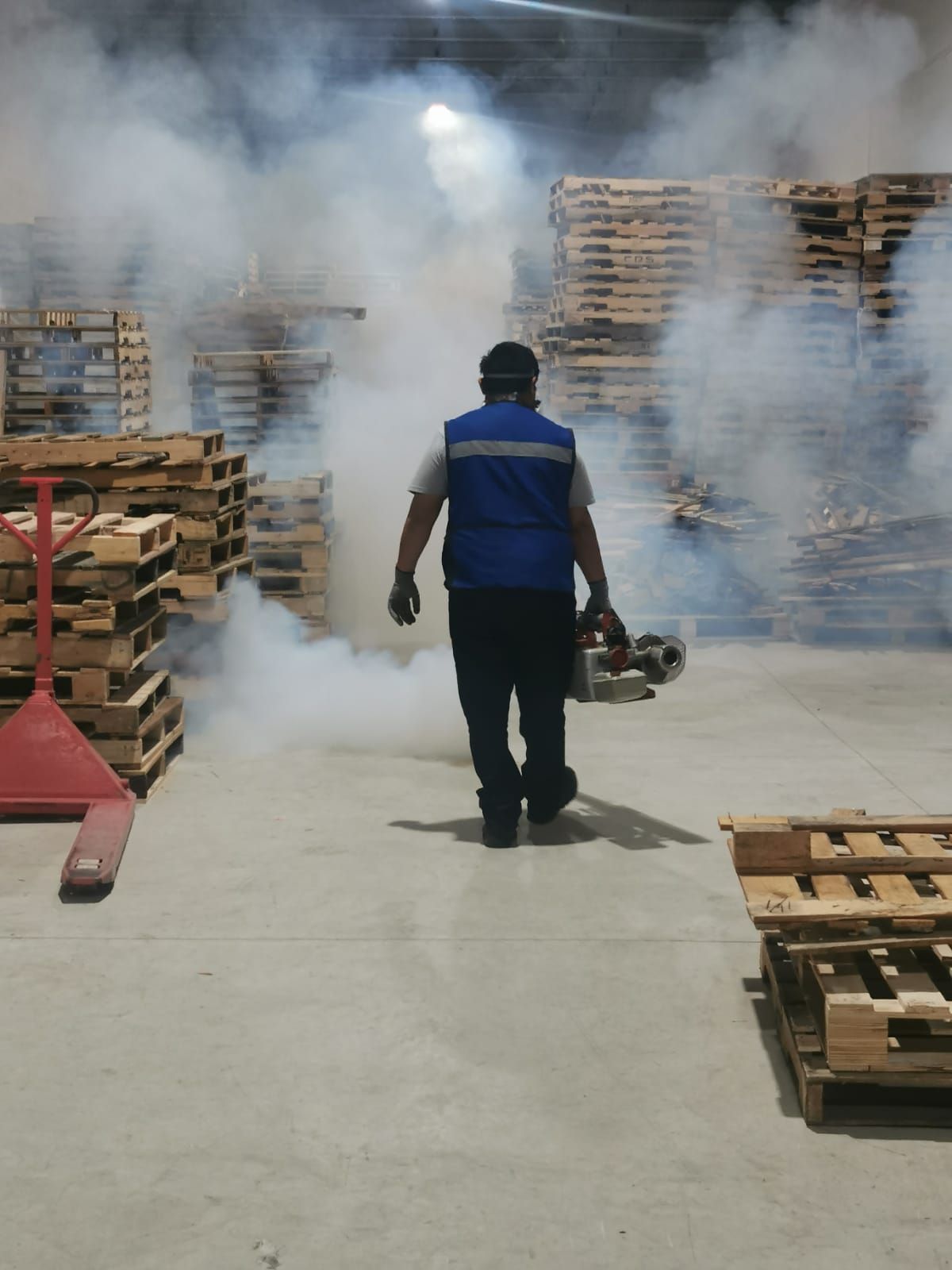 ECOFUM CONTROL ECOLOGICO DE PLAGAS - CONTROL DE PLAGAS