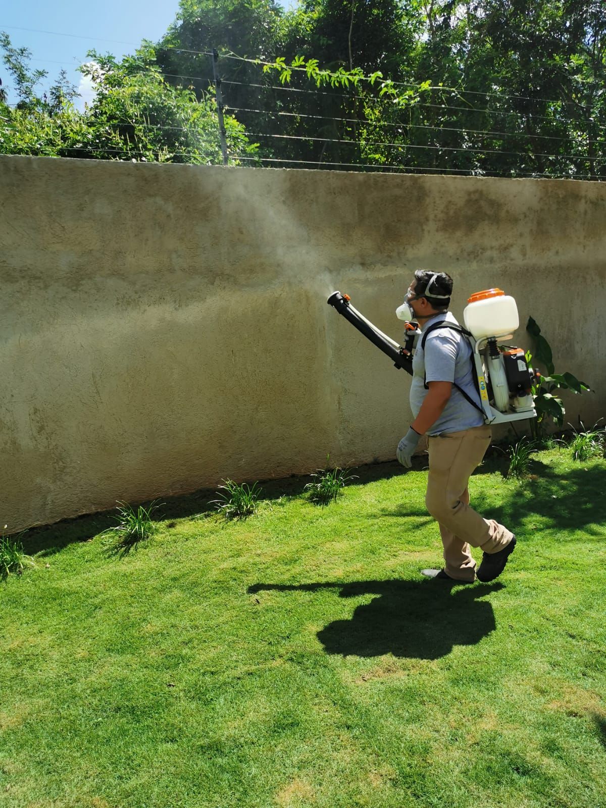 ECOFUM CONTROL ECOLOGICO DE PLAGAS - PLAGAS