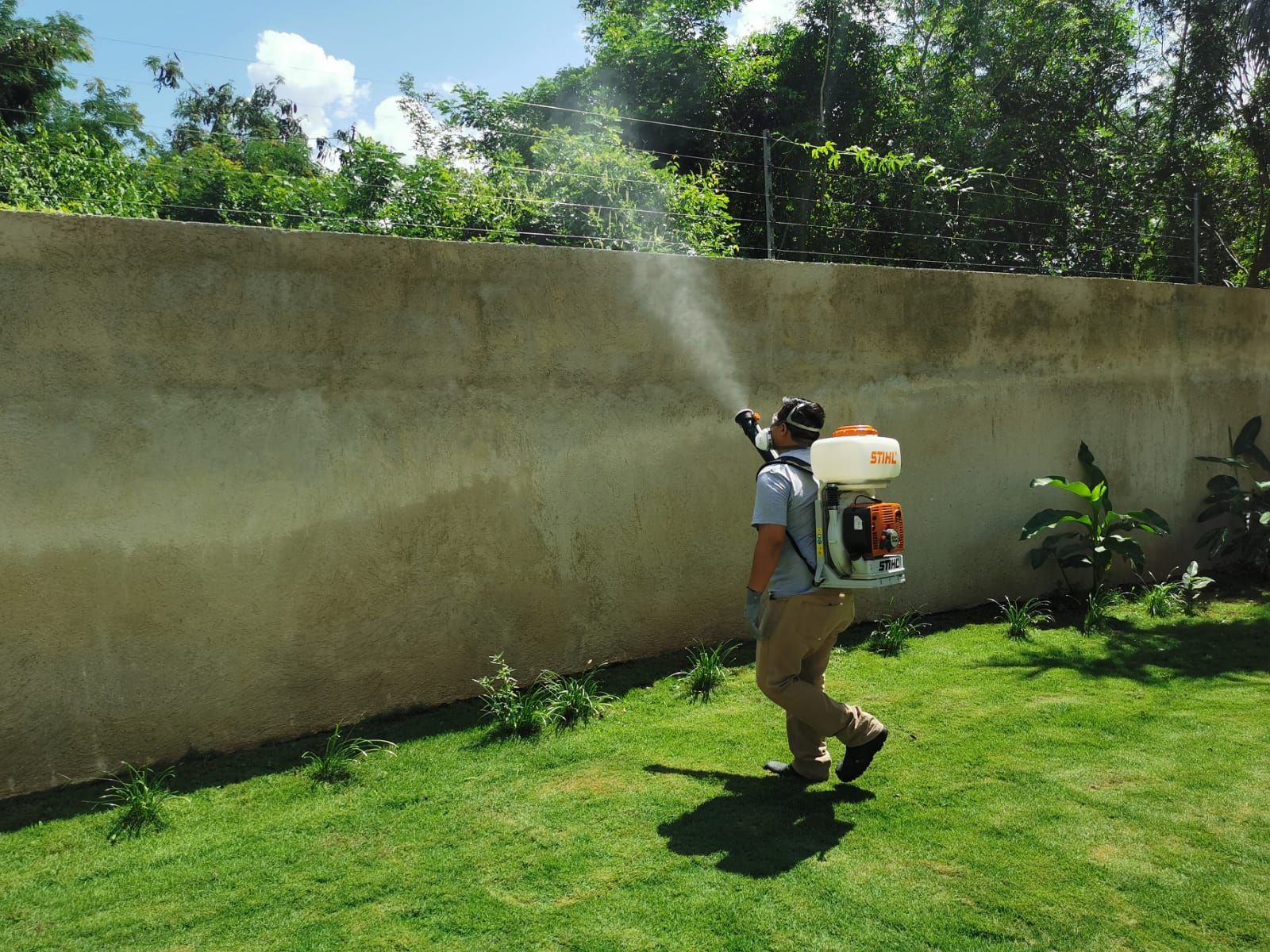 EXPERTOS EN FUMIGACIONES