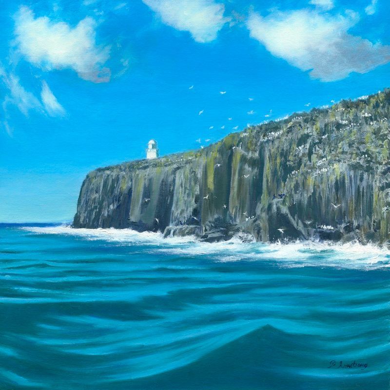 Farne Island Cruise Print Image