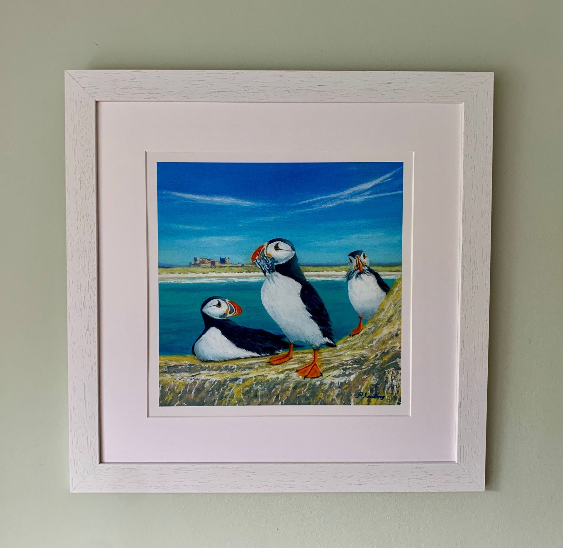 Puffins on Inner Farne  -  Limited Edition Print