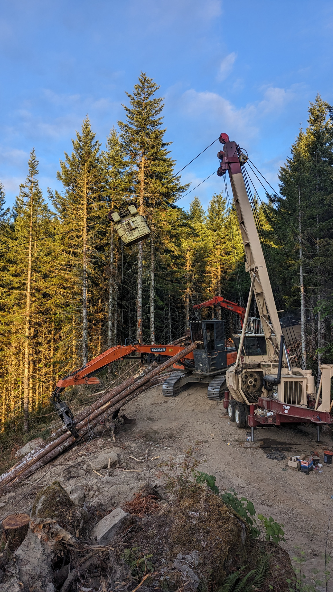 Timber Harvesting Services in Oregon - Century Forest Management