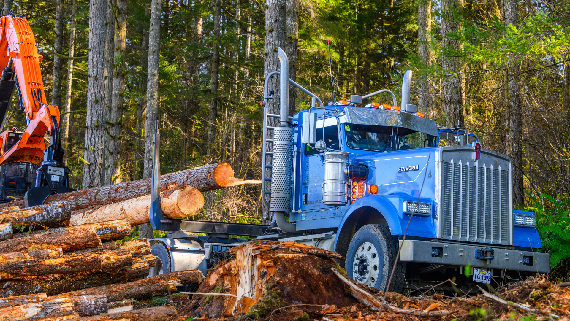 How Do Logging Trucks Work