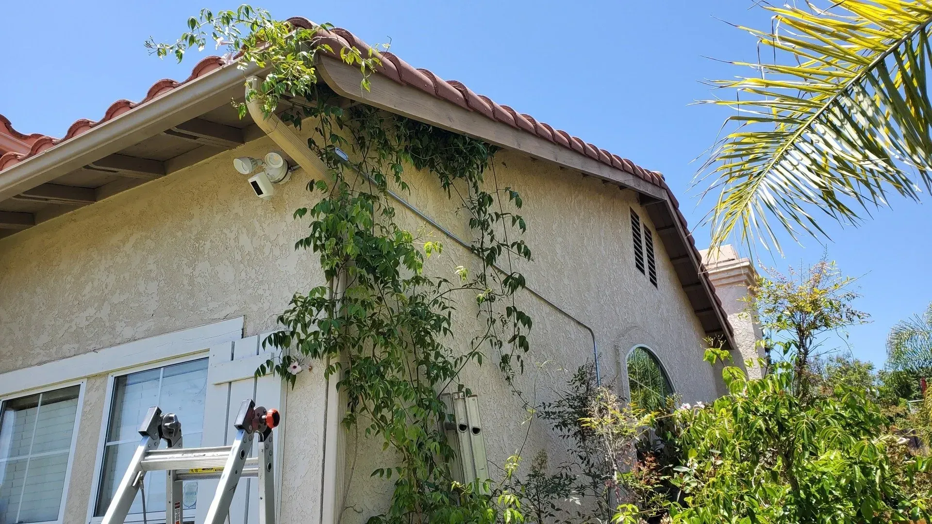A house with a ladder on the side of it.