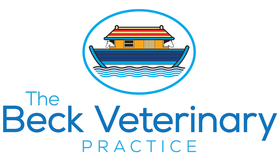 beck veterinary practice - whitby vets