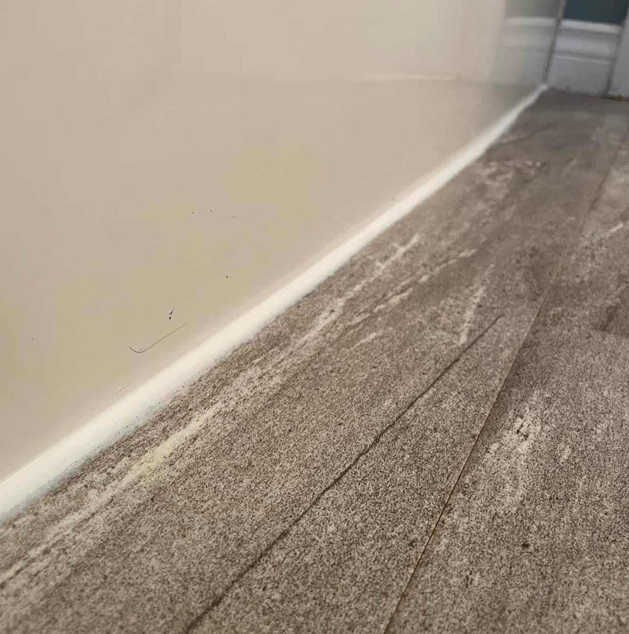 A close up of a carpeted floor next to a wall.