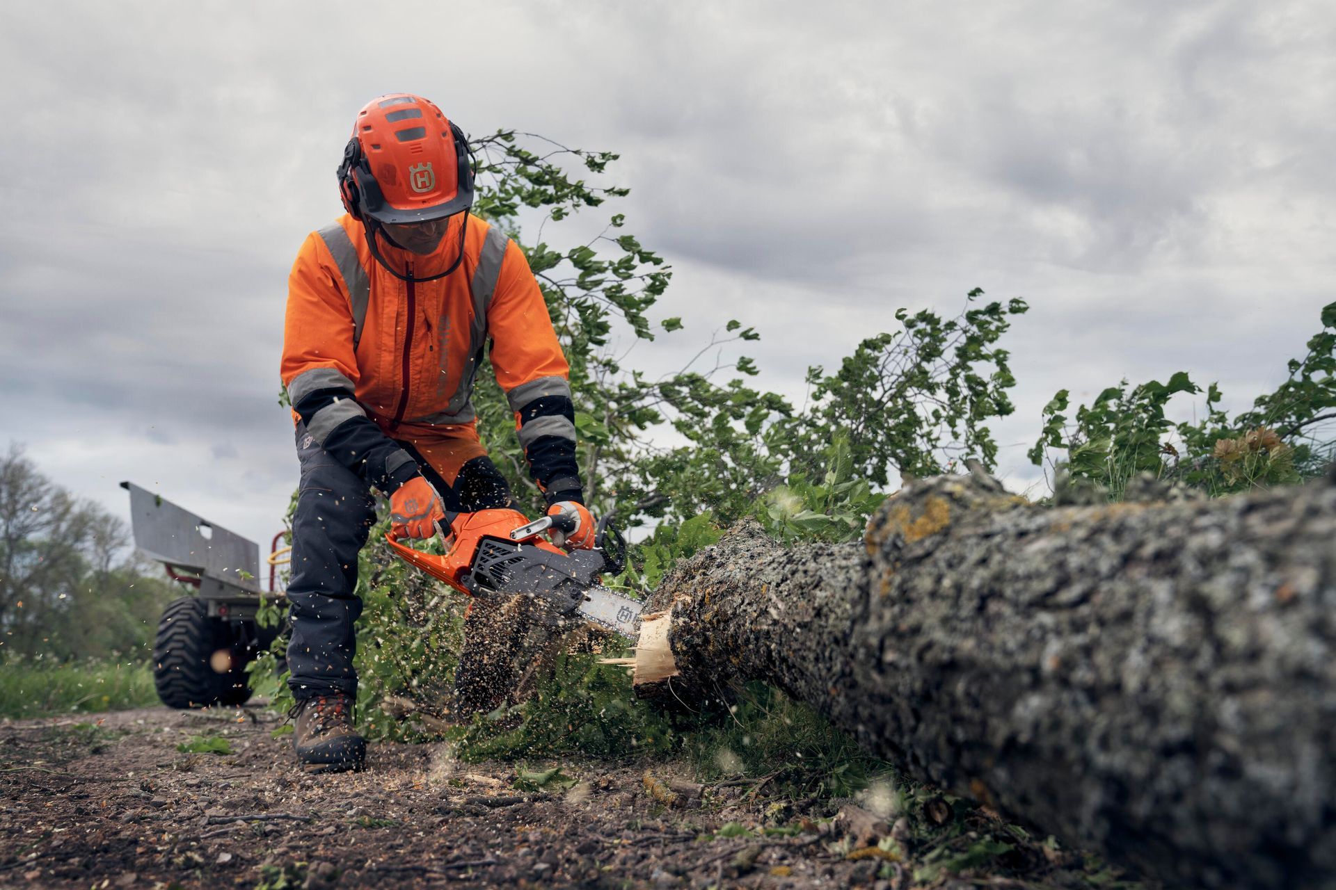 Mann mit Motorsäge der einen liegenden Stamm sägt