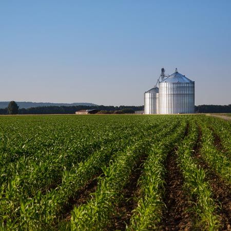 Commercial Propane — Propane Tank on a Farm in Lipan, TX