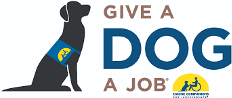 Give Dogs a Job