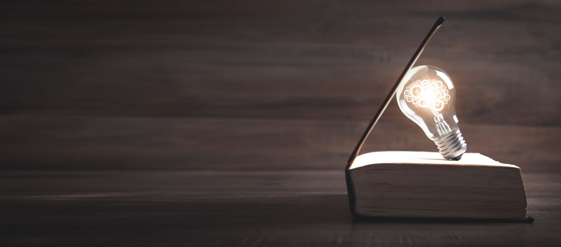 lightbulb in a book lightbulb in a book