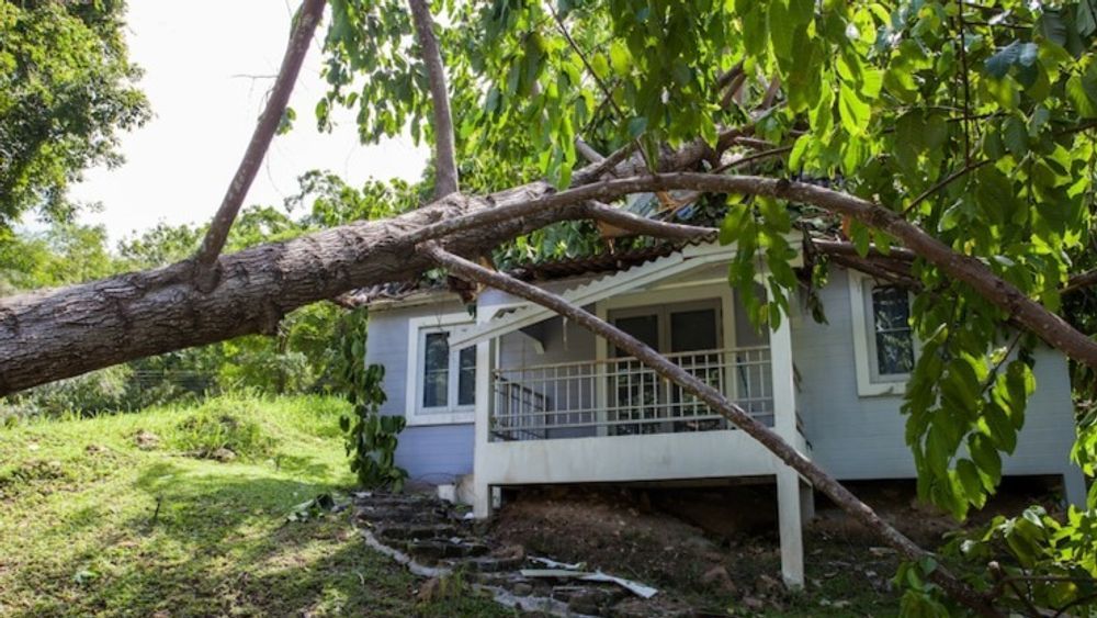 A tree has fallen on top of a house.
