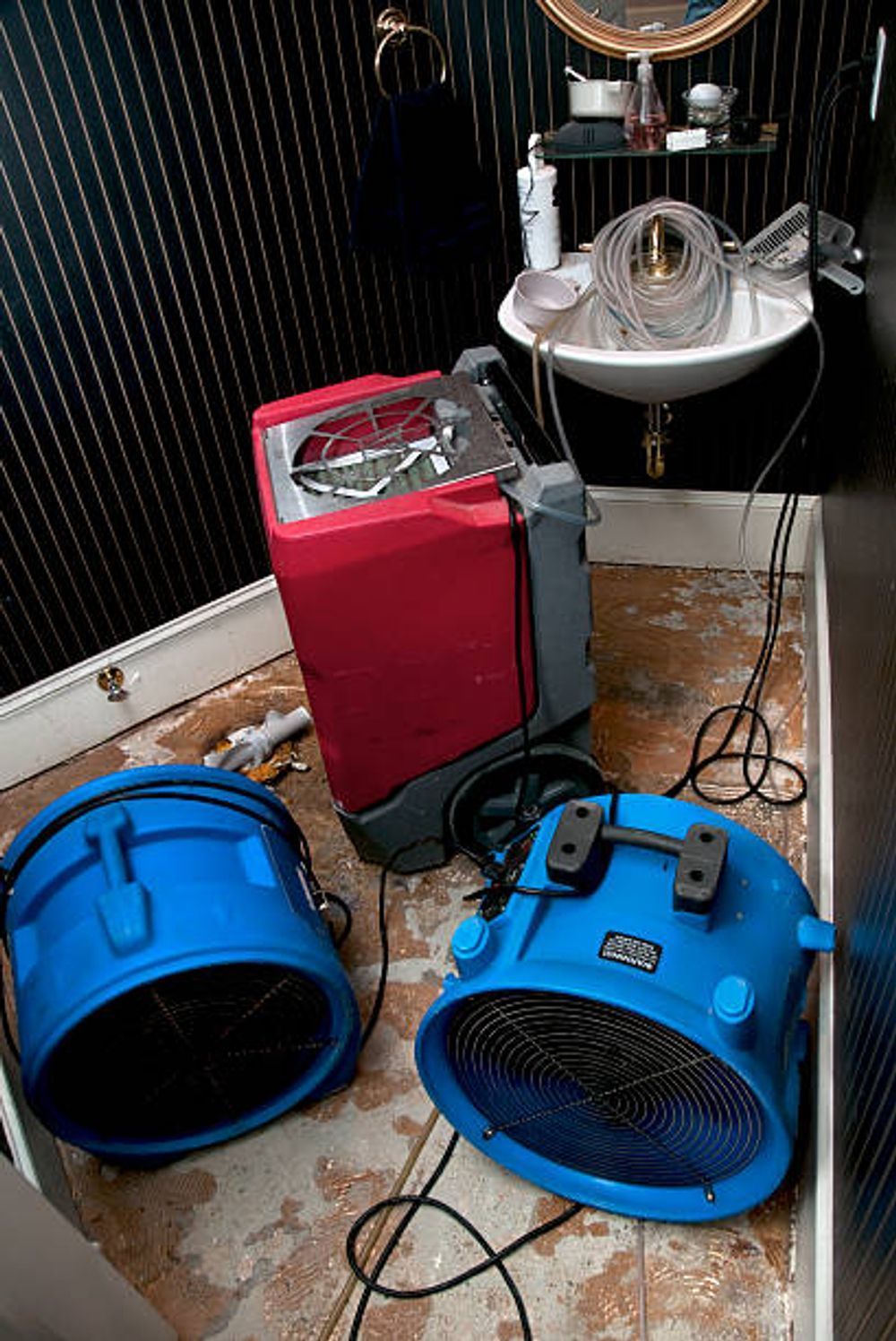 Two blue fans are sitting on the floor in a bathroom next to a sink.