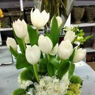 White tulips arranged in a floral bouquet with green leaves and white accents