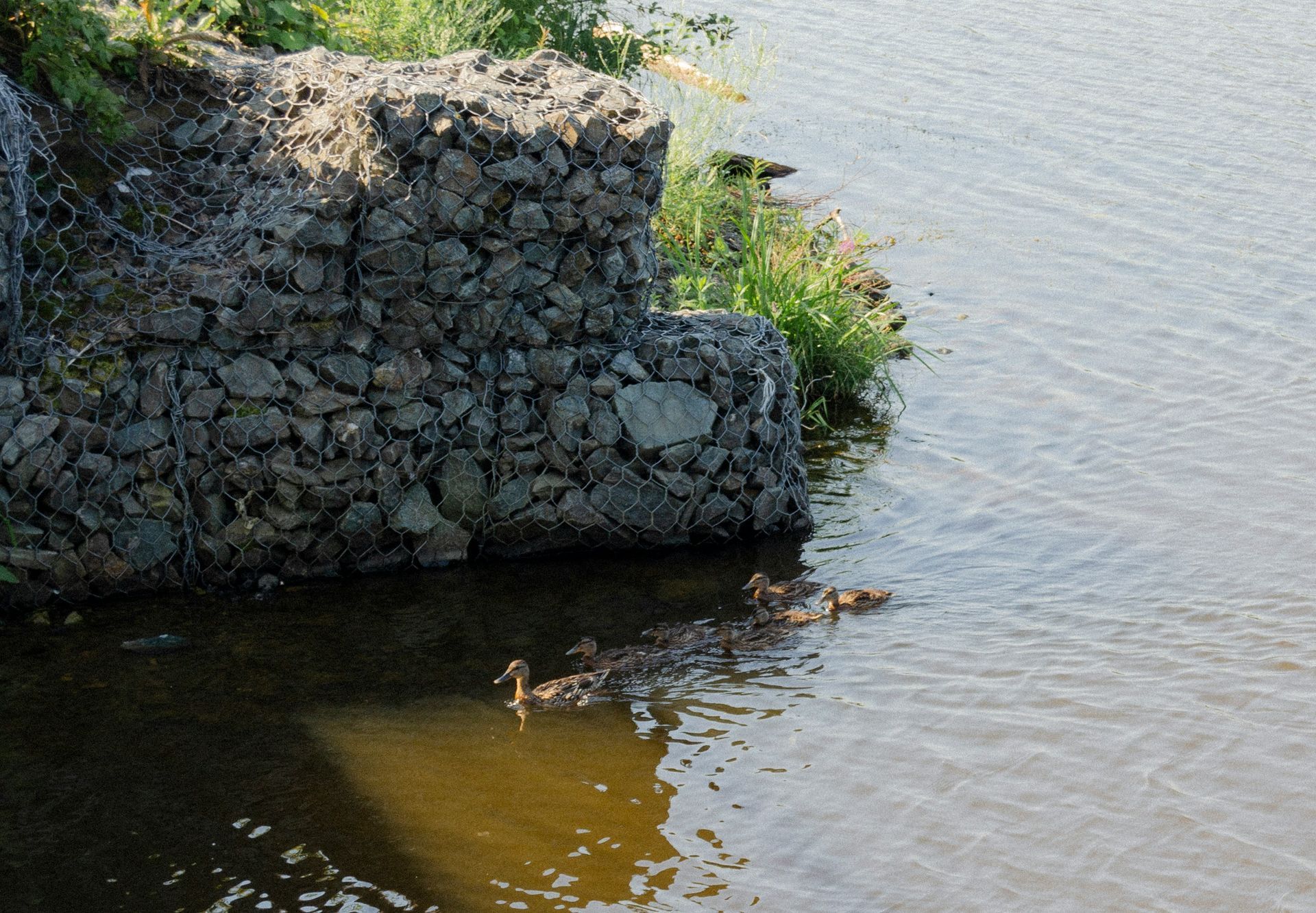 A gabion wall next to a river with ducks