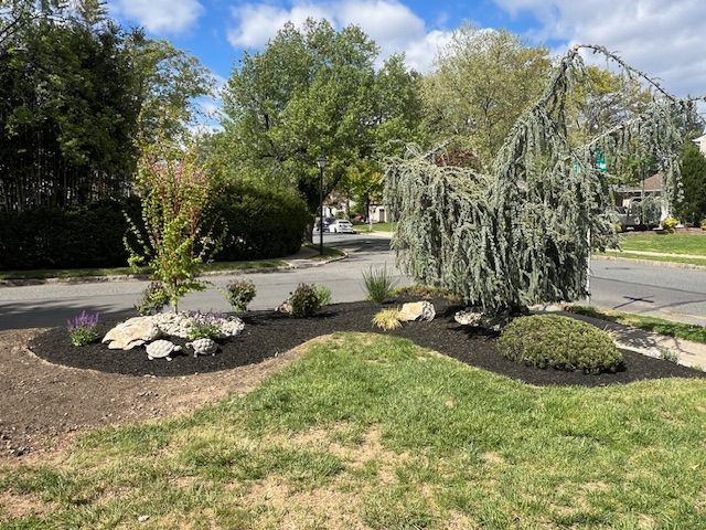 A lush green yard with a tree in the middle of it.