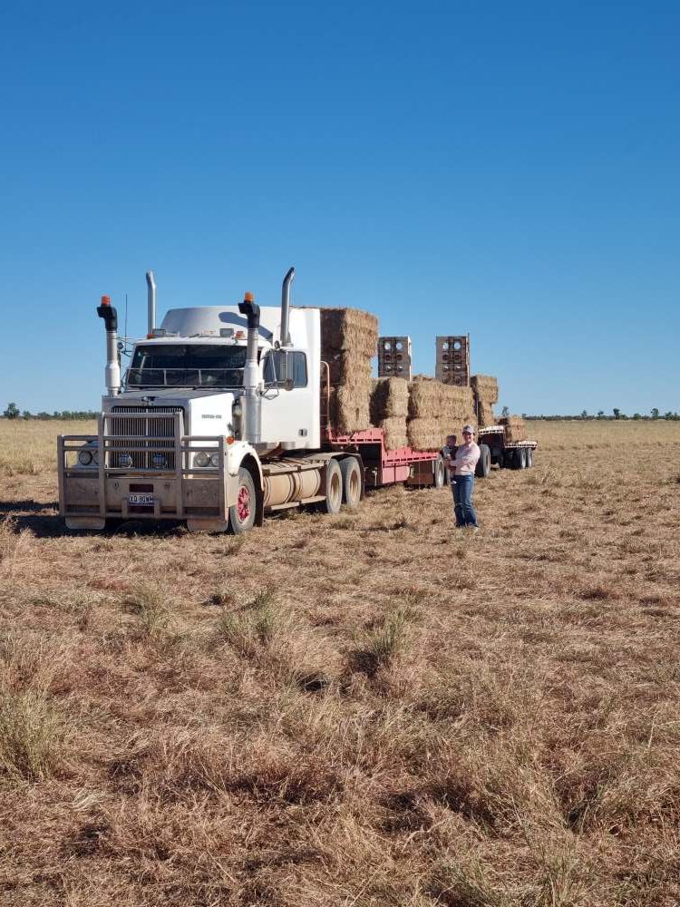White Semi-Truck Loaded With Hay Bales in a Dry Field Under a Blue Sky — Burnett Contracting in Burketown, QLD