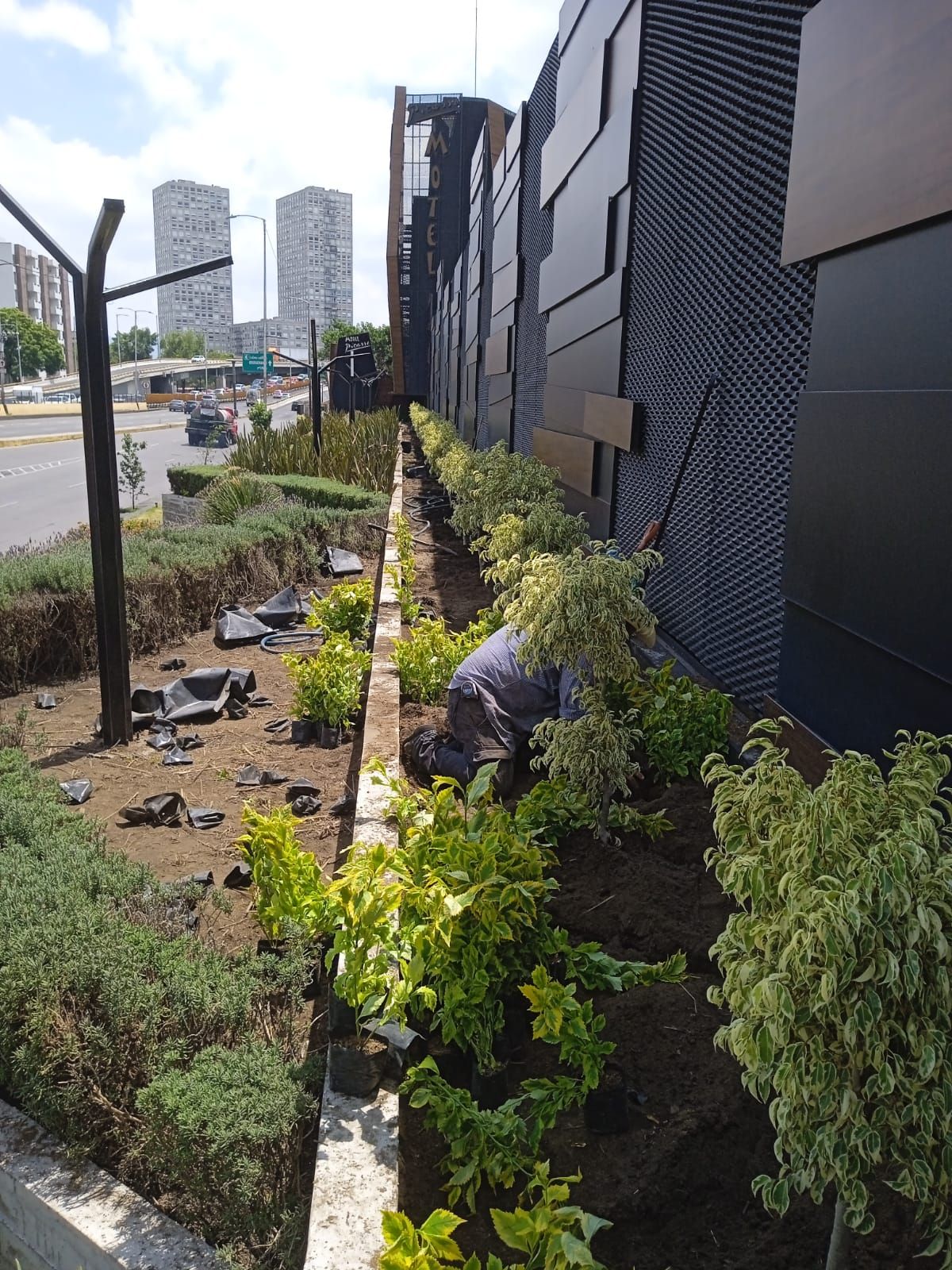 JARDINERÍA AXOCHITL - JARDINES EN EDIFICIOS