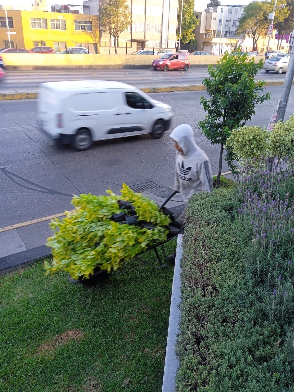 JARDINERÍA AXOCHITL - JARDINES EN EXTERIOR