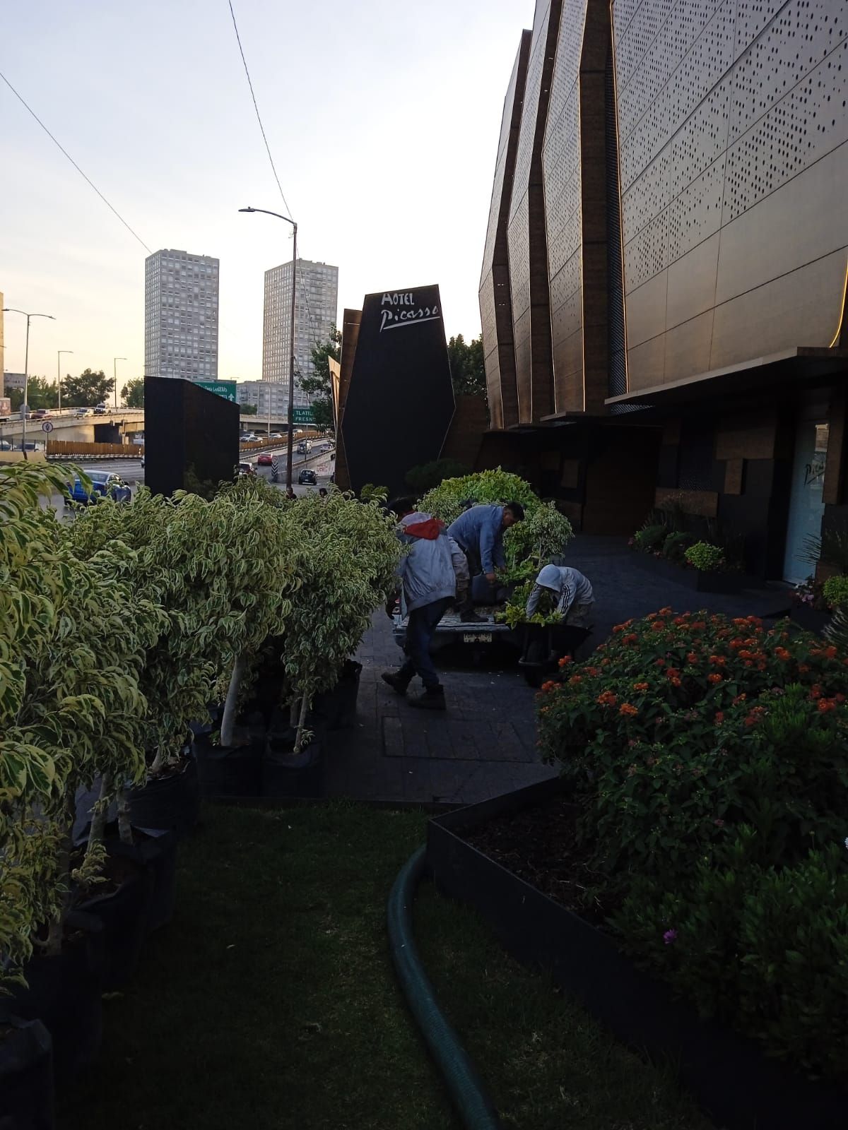 JARDINERÍA AXOCHITL - JARDINES FUNCIONALES