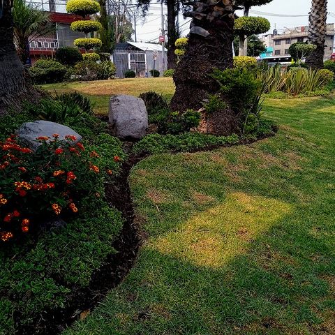 JARDINERÍA AXOCHITL - DISEÑO