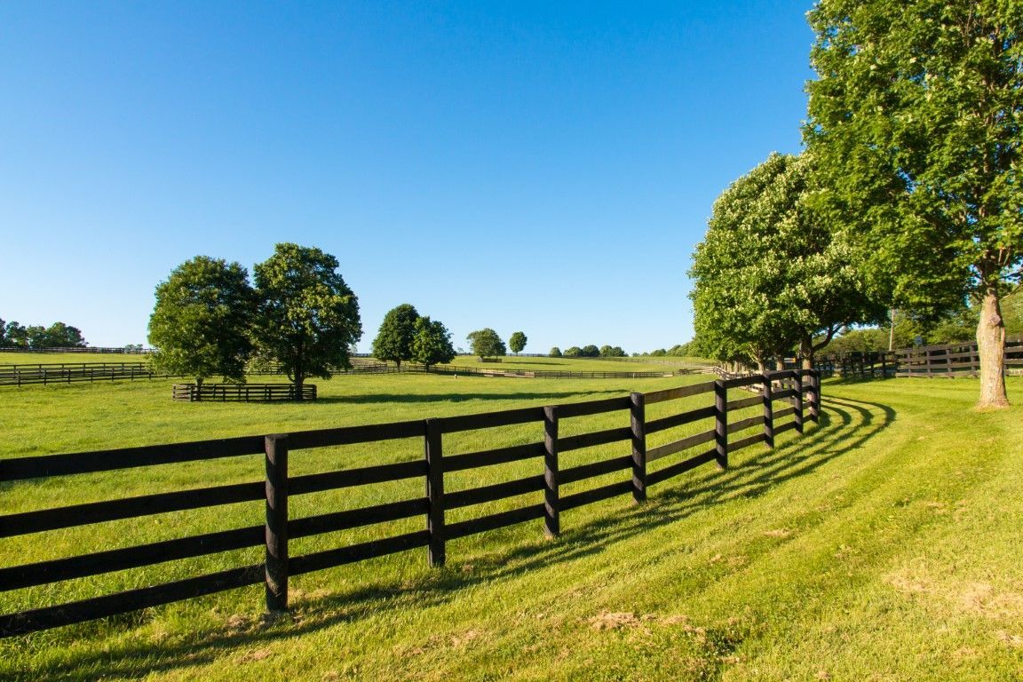 A wooden fence diagonally cuts through, casting shadows.