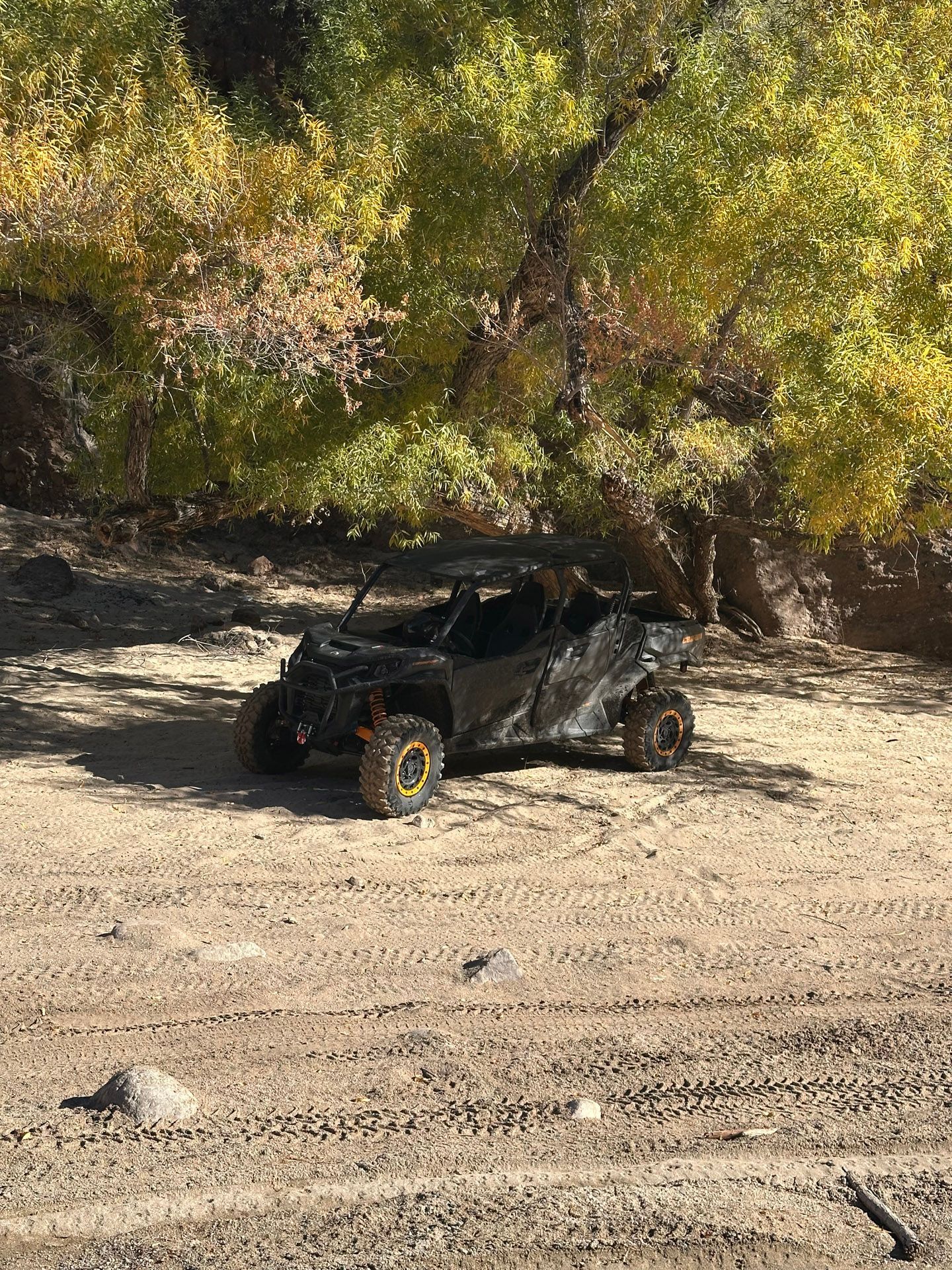 An all-terrain vehicle parked in a sandy area under vibrant yellow-leaved trees, surrounded by rocky terrain.