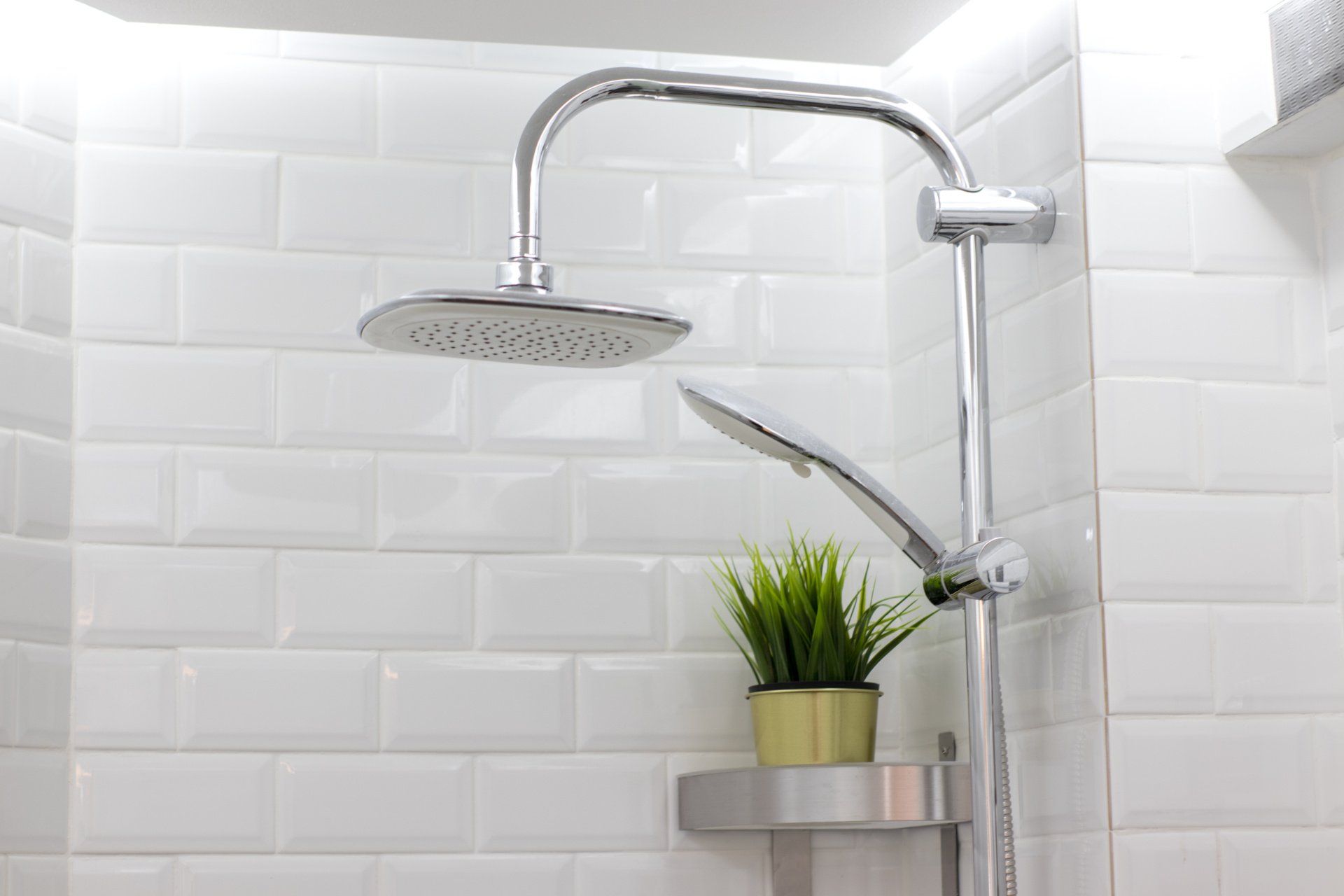 Green potted plant nestled on a white tile bathroom wall beside a modern shower.