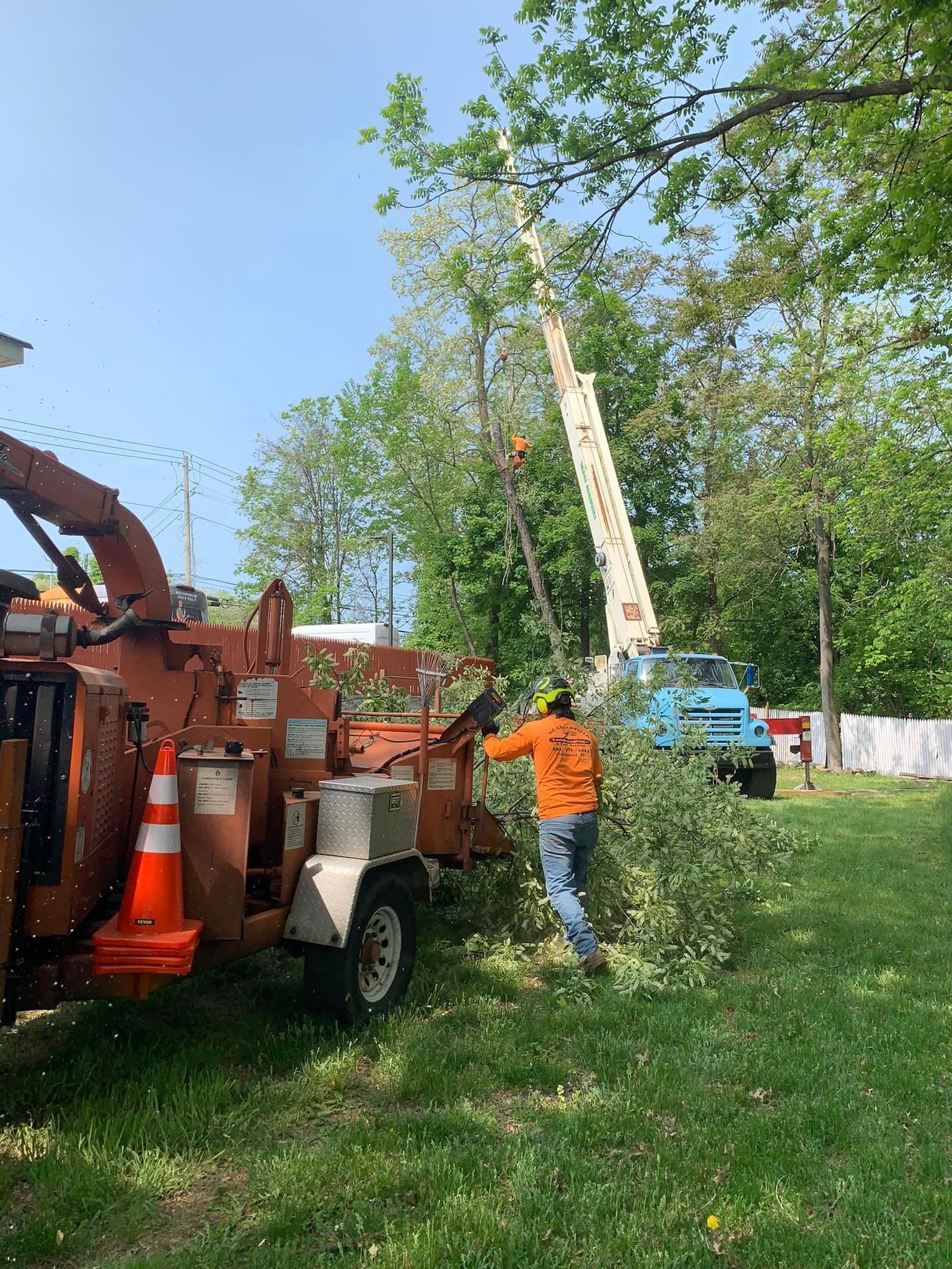 A Man Is Cutting a Tree With a Machine in a Yard — Hackensack, NJ — MC Greenfield Tree & landscape Service LLC