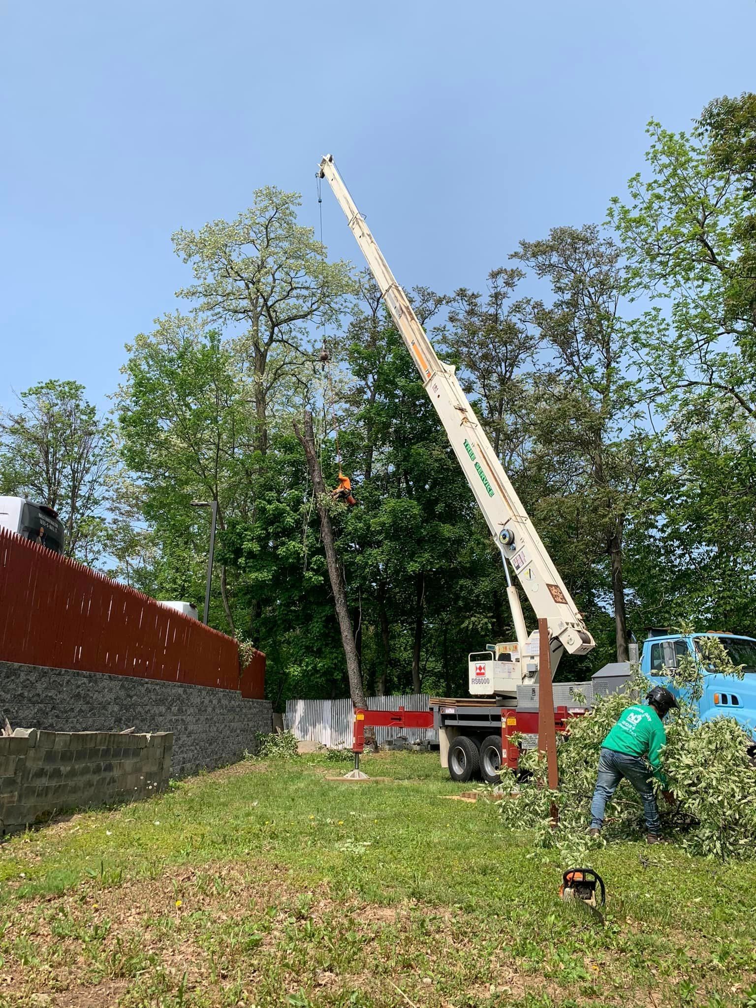 A Man Is Cutting a Tree With a Crane in a Field — Hackensack, NJ — MC Greenfield Tree & landscape Service LLC