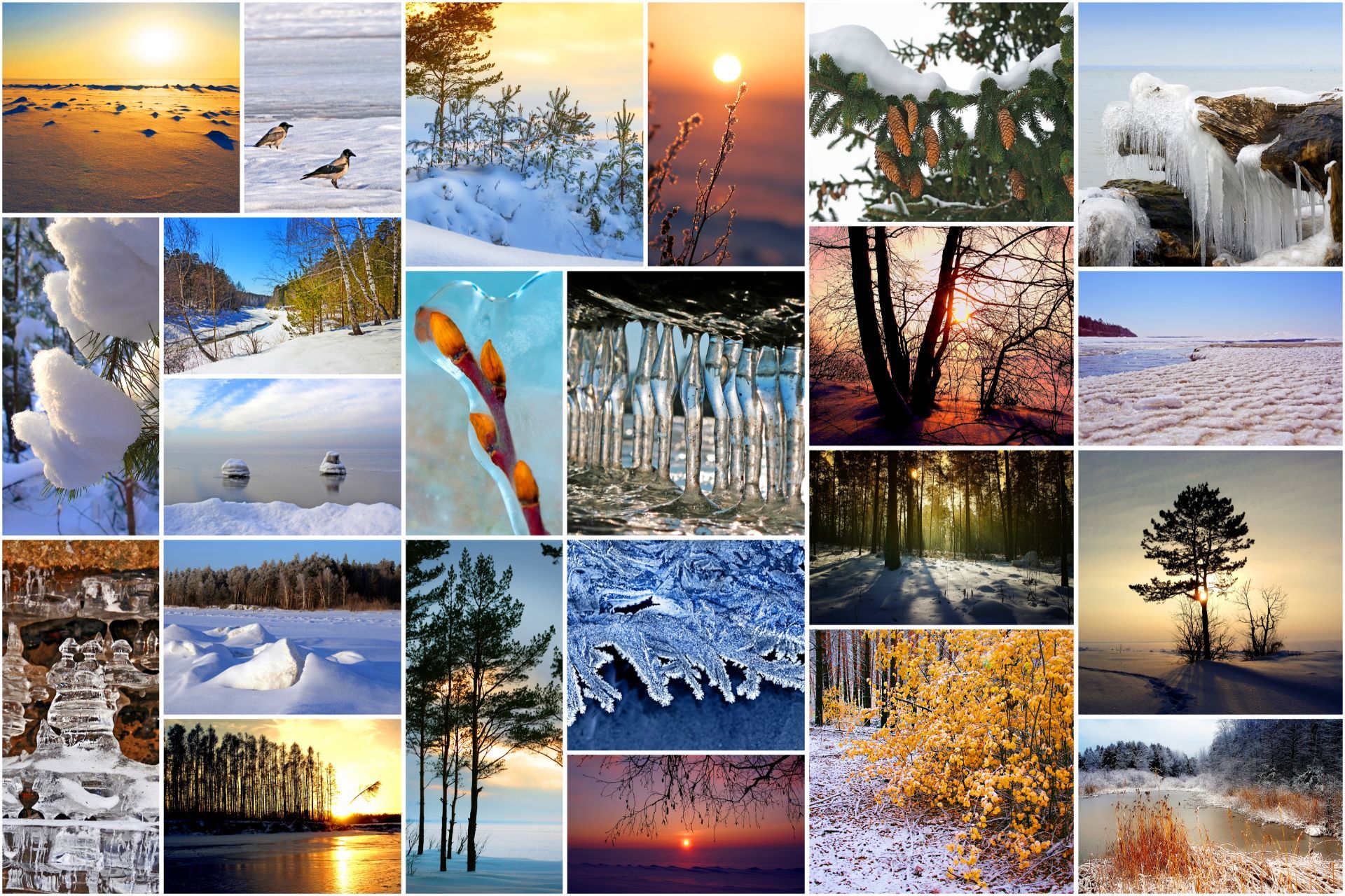 Stampa di fotografie