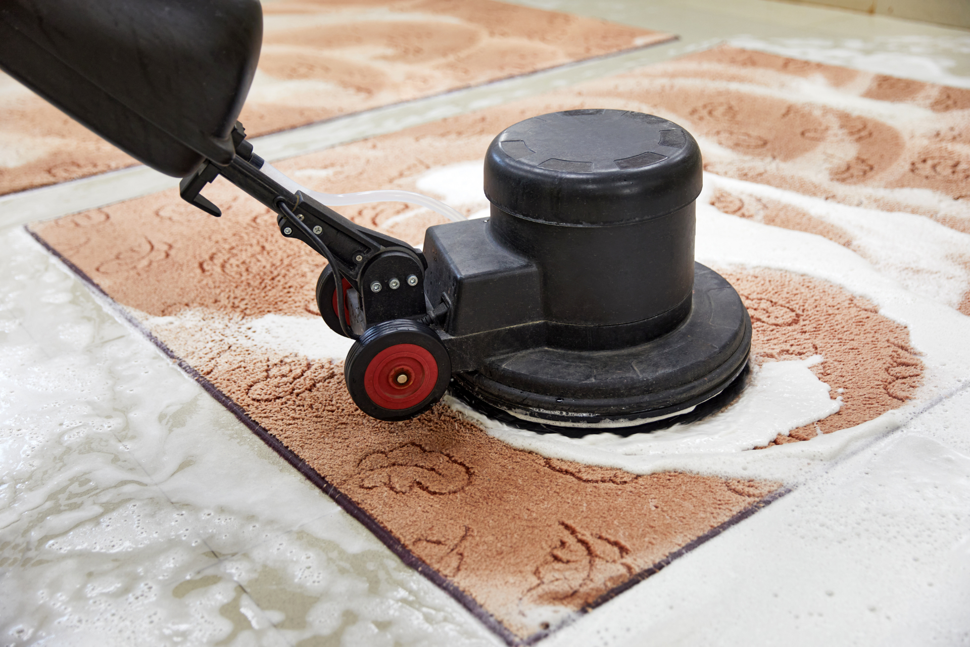 Floor polishing machine buffing a tan carpet with circular patterns on a marble floor